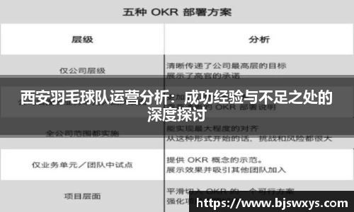 西安羽毛球队运营分析：成功经验与不足之处的深度探讨